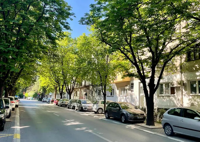 Luxury City Center Apartment
